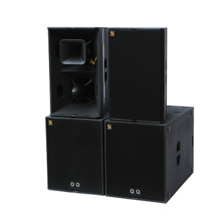 T24N双12英寸扬声器，具有出色的语音清晰度和音乐性